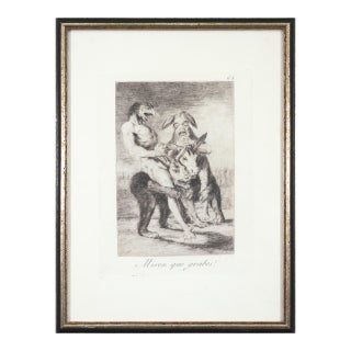 Francisco Goya - Miren Que Grabes! (From Los Caprichos), 1799 / 1868 Etching For Sale