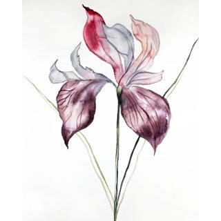 "Iris No. 102" Contemporary Original Watercolor Painting by Elizabeth Becker For Sale