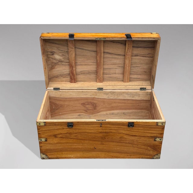 Camphor Wood Campaign Trunk, 1880s For Sale - Image 4 of 11