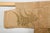 19th Century Antique Japanese Noh Outer Cloak Chōken with Stencil Decoration For Sale - Image 5 of 10
