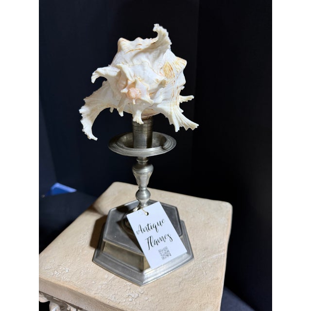 Godinger Celestial Meets the Sea Godinger Candlestick-Coastal Art Sculpture For Sale - Image 4 of 7