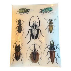 1990s John Derian Rectangular Beetle Tray