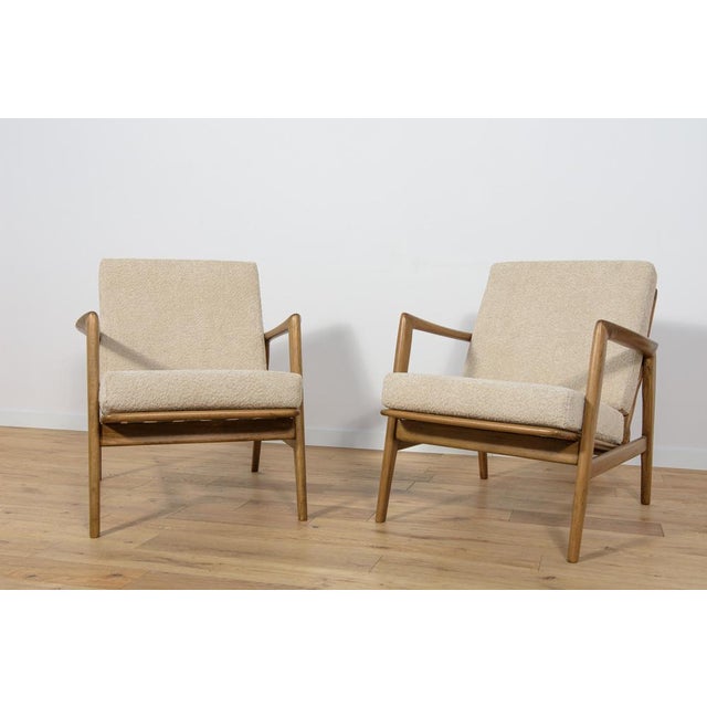 Mid-Century Modern Set of Mid-Century Model 300-139 Armchairs from Swarzędz Factory, 1960s For Sale - Image 3 of 18
