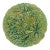 C. 1880-1900 London Majolica Begonia Leaf Plate by Joseph Roth For Sale