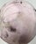 Pink Vintage Large Modernist Anagama Fired Pink Seed Pot-Style Vessel by Jeffrey Zigulis (American, B. 1954), Signed (1983) For Sale - Image 8 of 10