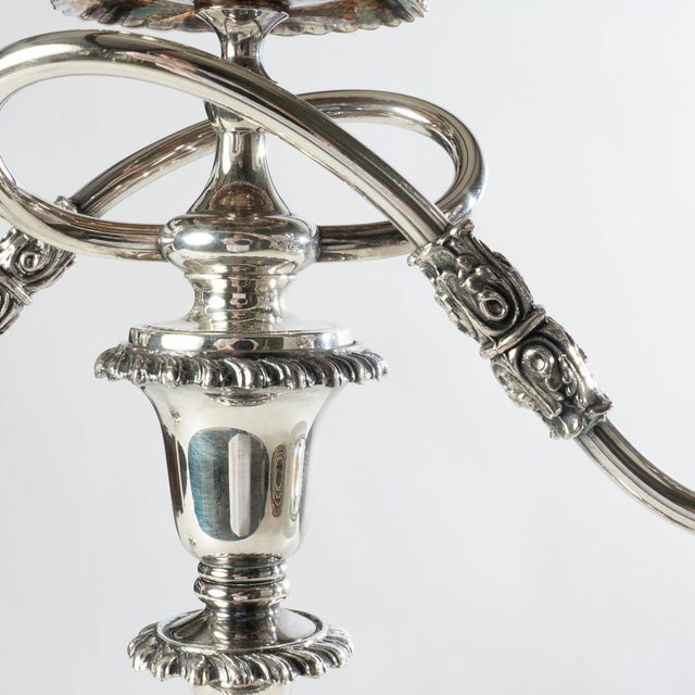 Rococo 1920s Pair of Friedman Silver Co. Three Arm Silverplate Candelabras For Sale - Image 3 of 11
