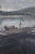 2000 - 2009 Jules, De Cort ships, Oil on Canvas, Framed For Sale - Image 5 of 11