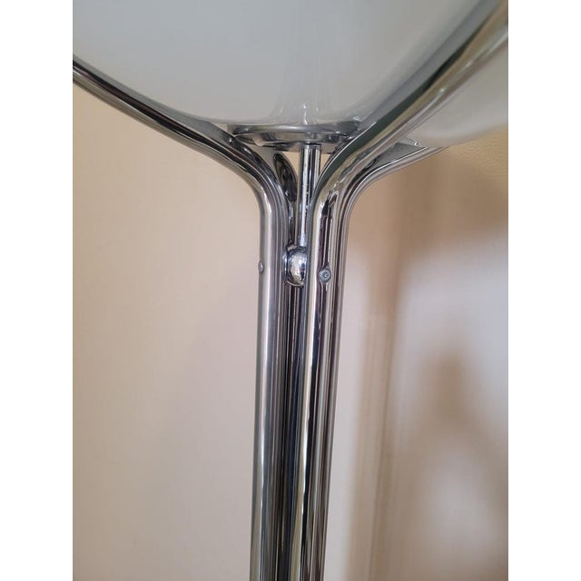 Quadrifoglio Floor Lamp by Gae Aulenti for Guzzini, 1970s For Sale - Image 11 of 18