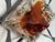 Vintage Wall Lamp with Iron Base and Glass Lampshade in the style of Mazzega, 1970s For Sale - Image 10 of 12