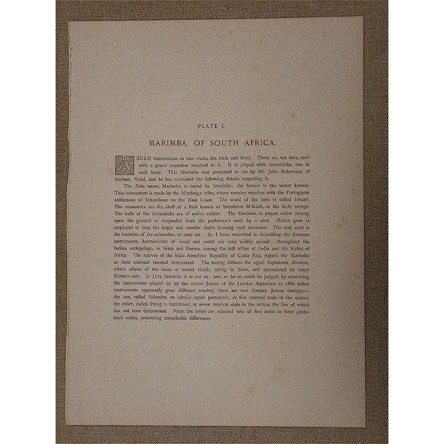 Realism Antique Lithograph-Musical Instruments-Marimba-South Africa For Sale - Image 3 of 4