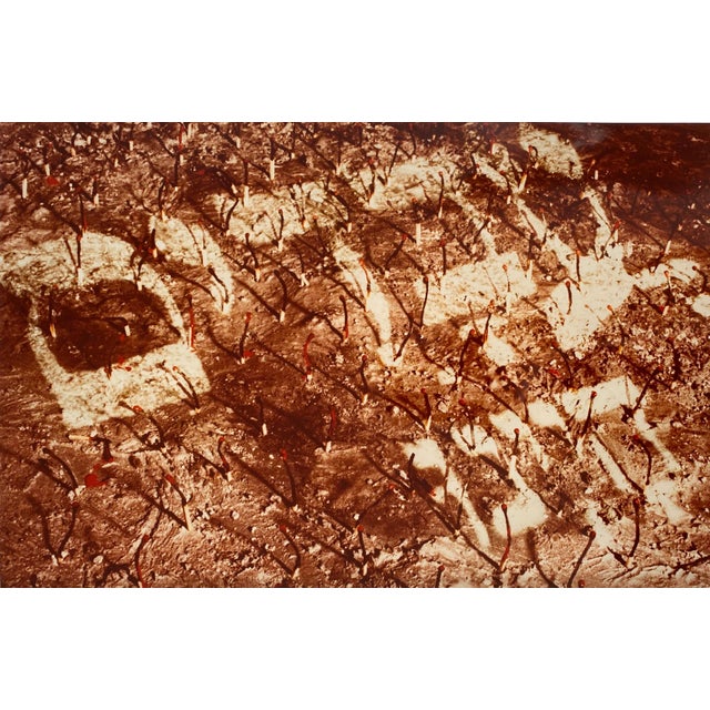 Gerard Allon, Vintage Color Photograph Hebrew "Slaves We Were" Signed C Print Photo Israeli, 1982 For Sale