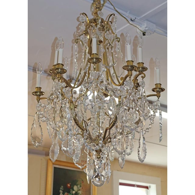 Late 19th Century French Louis XV Style Brass & Crystal 12 Light Cage Chandelier For Sale - Image 9 of 18