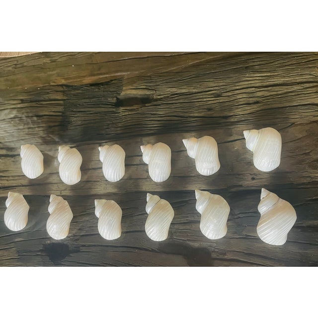 Coastal 1960s Coastal Table Decor- Dozen Turbo Sea Shells Napkin Rings Mother of Pearl - 12 pcs For Sale - Image 3 of 6