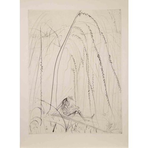 Salvador Dalì, Weeping Willow, 1968, Etching For Sale - Image 4 of 4