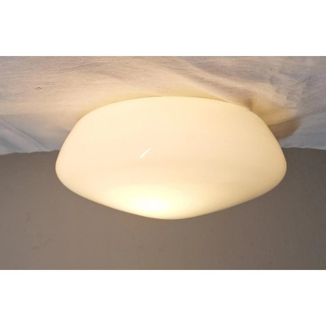Cream Vintage German Ceiling Lamp with Cream-Colored Glass Shade from HP-Leuchten, 1960s For Sale - Image 8 of 8