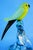 20th Century Sculpture of Parrot on Branch in Opaline Murano Glass attributed to Seguso Glassworks, Set of 2 For Sale - Image 14 of 18