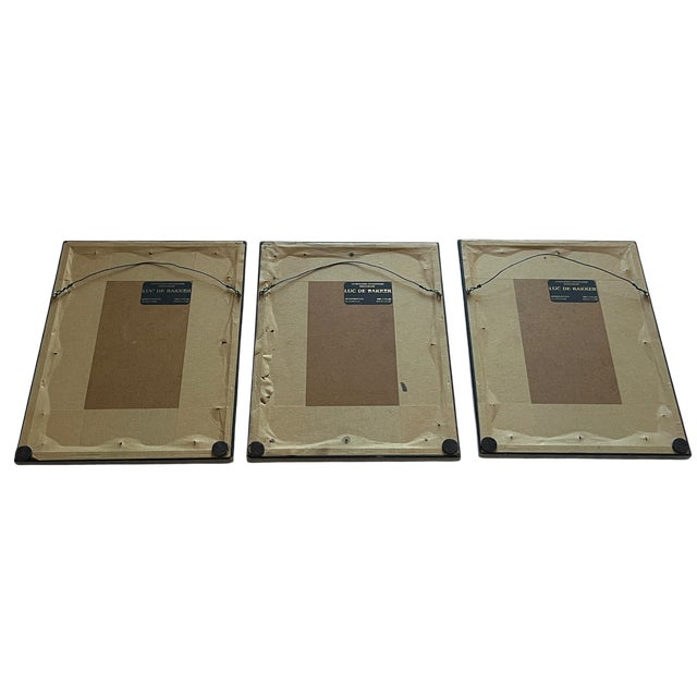 Antique Dutch Botanical Engravings Reproduction, Framed in Antwerp – Set of 3 For Sale - Image 9 of 11