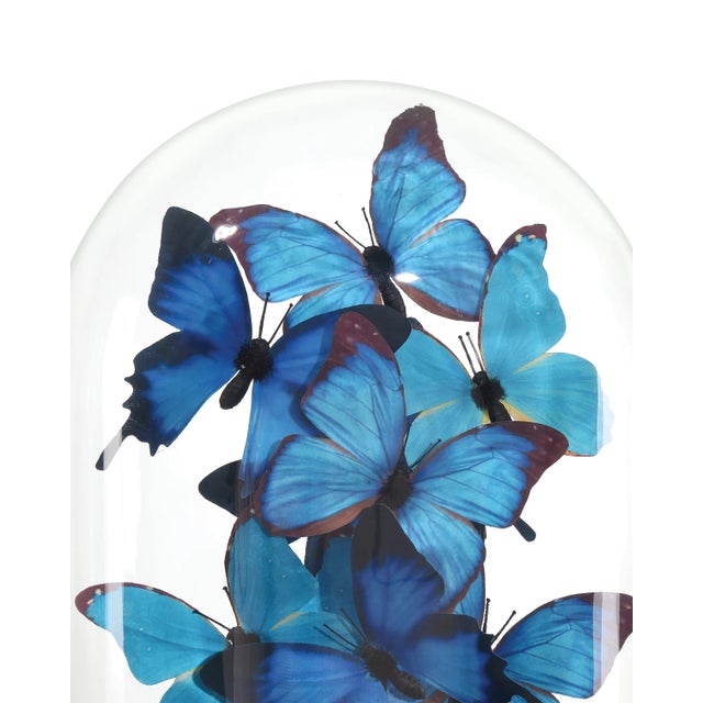 Currey & Company Currey & Company Rue de Bac Medium Butterflies For Sale - Image 4 of 10