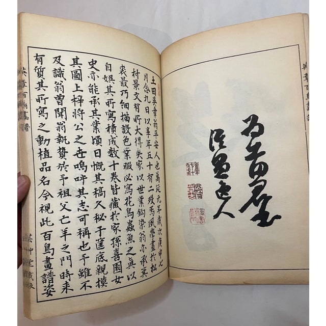 Printmaking Materials 1914 Antique Japanese Eisho Hyakucho Gafu Tsuchida Eisho Birds Woodblock Prints For Sale - Image 7 of 18