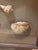 Vintage Framed Seashell Shadow Box For Sale - Image 12 of 12