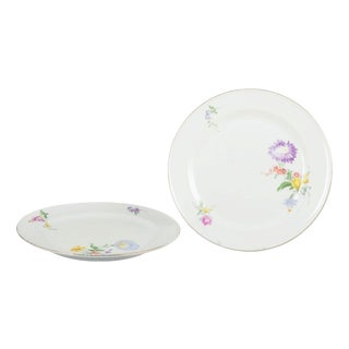 Porcelain Plates with Floral Motifs from Meissen, Germany, Set of 2 For Sale