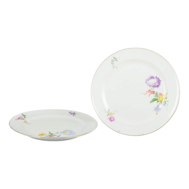 Porcelain Plates with Floral Motifs from Meissen, Germany, Set of 2 For Sale