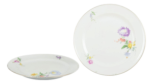 Porcelain Plates with Floral Motifs from Meissen, Germany, Set of 2