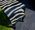 1990s 1990s Postmodeen Zebra Print 2 Door Cabinet Buffet Sideboard Console For Sale - Image 5 of 12