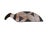 Vintage Kalapalo Tribe Indigenous Wood Spatula (Pá De Biju) 18.75" W For Sale - Image 4 of 6