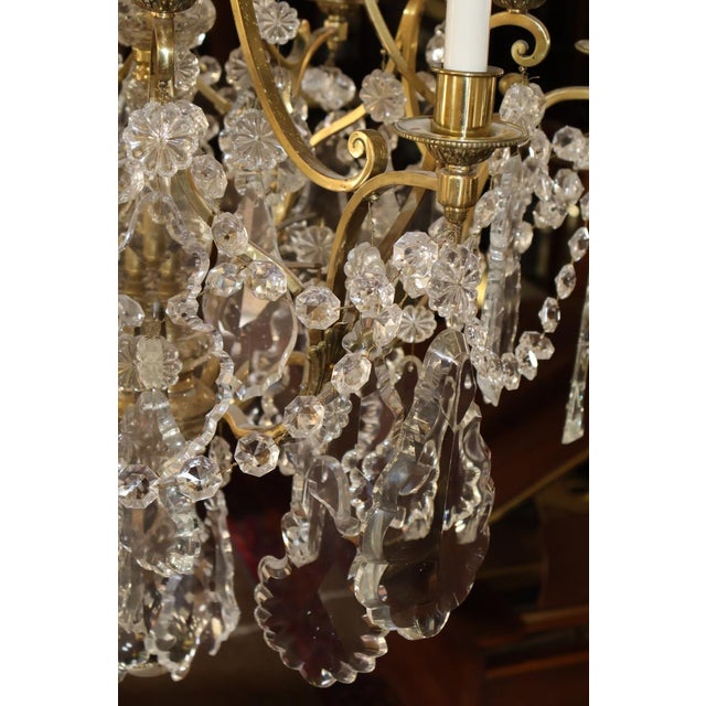 Late 19th Century French Louis XV Style Brass & Crystal 12 Light Cage Chandelier For Sale - Image 14 of 18