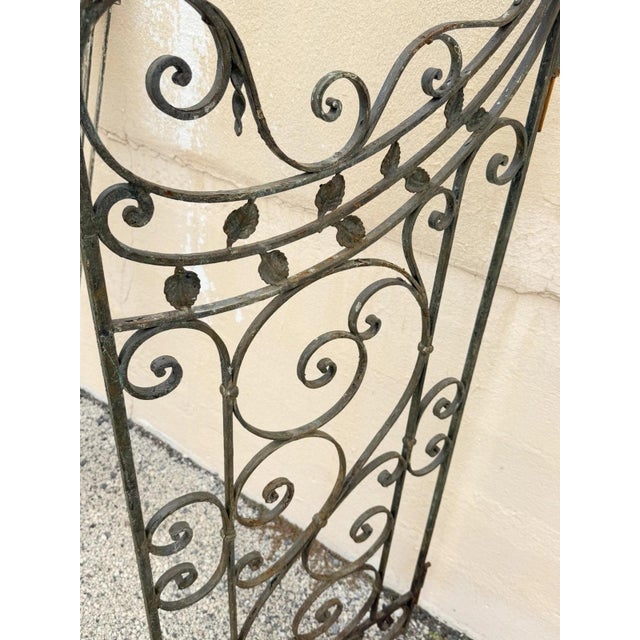 Antique Spanish Renaissance Scrolling Wrought Iron 57 X 45 Garden Entry Gate Set For Sale - Image 14 of 18