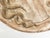Italian 1930s Painted and Gilt Terracotta Medallion Depicting a Horse's Head For Sale In Atlanta - Image 6 of 9