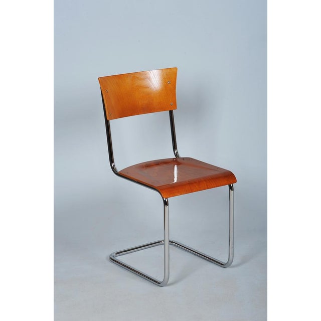 Bauhaus Chair in Beech and Chromed Steel, Czech, 1930s For Sale - Image 10 of 10