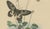 E. Guérin, Butterfly with Caterpillars, 1835, Engraving, Set of 2 For Sale - Image 6 of 11