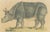 Brodtmann, Indian Rhinoceros (Rhinoceros Unicornis), 1816, Lithograph For Sale - Image 4 of 9