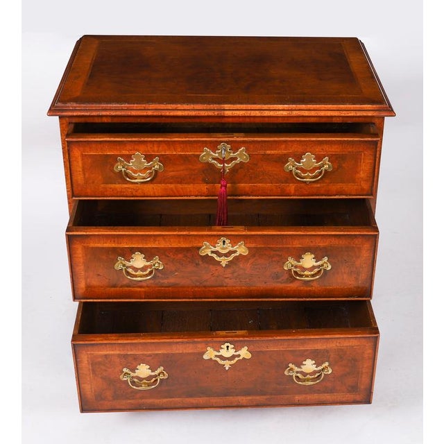 Brown Vintage Bedside Tables in Burr Walnut, Set of 2 For Sale - Image 8 of 18