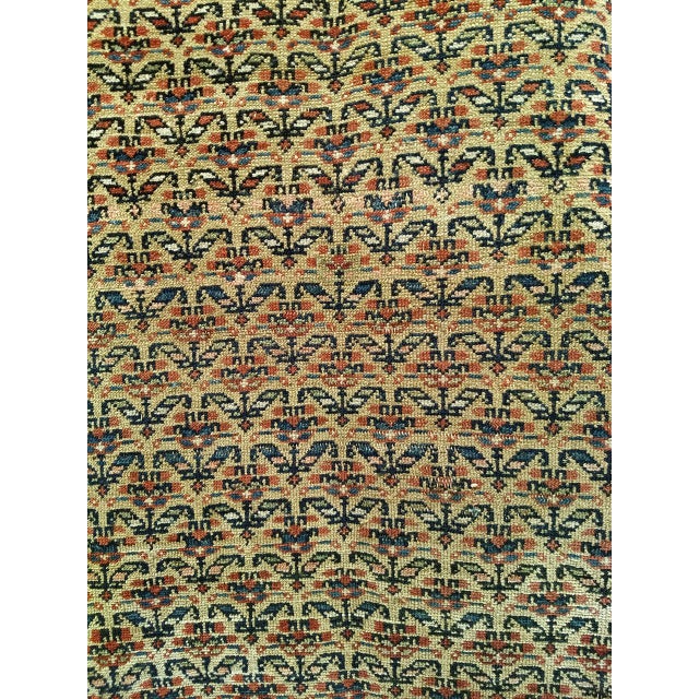 19th Century Persian Kurdish Bidjar Rug, Hand-Knotted Wool, Allover Paisley Pattern, Tan & Burgundy, 4x9 For Sale - Image 10 of 15