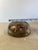 Vintage Resin Dome Paperweight With Natural Crystal Specimen Inclusion For Sale - Image 9 of 10