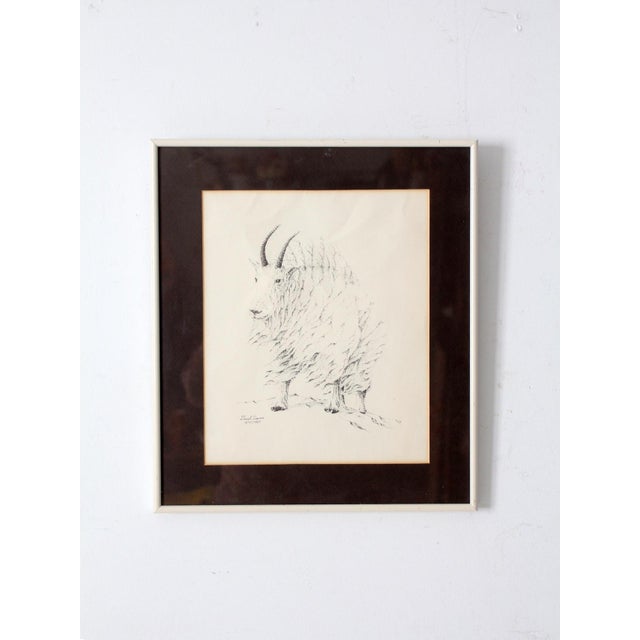 Vintage Framed Mountain Goat Drawing For Sale - Image 4 of 7