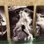 Vintage Cavalia Set of Five Post Card Prints Black and White Canada For Sale - Image 4 of 8