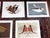 Realism Vintage Charley Harper Modernist Abstracted Bird Lithographs (10.75" X 8.25") - Set of 10 For Sale - Image 3 of 10