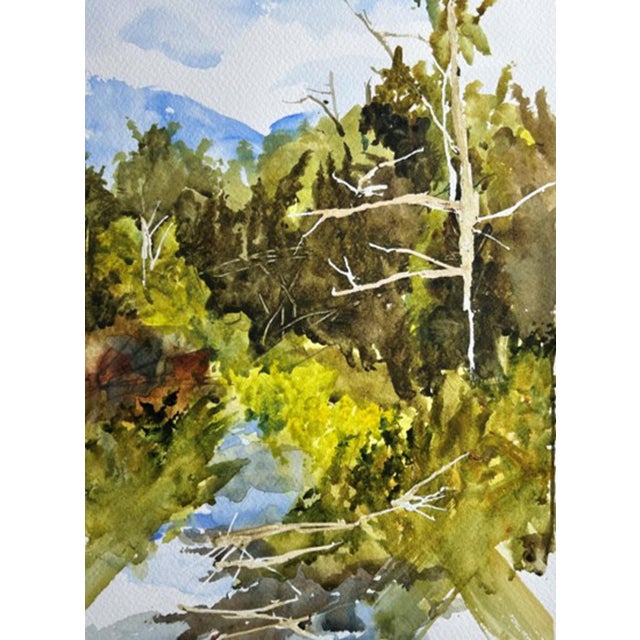 This watercolor captures the serene landscape of Clear Creek, depicting a lush environment where vibrant greens intertwine...