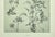 Gray 1902 -Set of 3 Antique French Botanicals- Ivy, Fushia, Sweet William, Documentation For Sale - Image 8 of 14