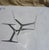 Ronald Schmitt Tripod Coffee Table by Knut Hesterberg for Ronald Schmitt, 1960s For Sale - Image 4 of 10