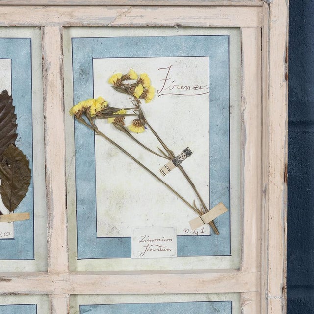 Large Italian Oak Frame Containing Pressed Flowers and Herbs, 1980s For Sale - Image 14 of 18