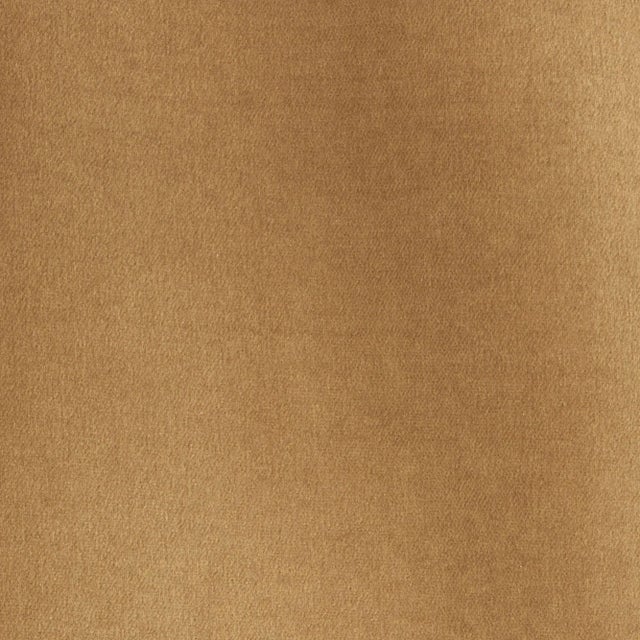 Contemporary Schumacher Rocky Performance Velvet Fabric in Malt For Sale - Image 3 of 3