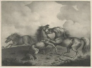 Horse Showing the Passion Rage and Agony, 1827, Paper