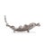 Beautifully sculpted calathea leaves are created in cast aluminum and finished in polished silver. The attention to detail...