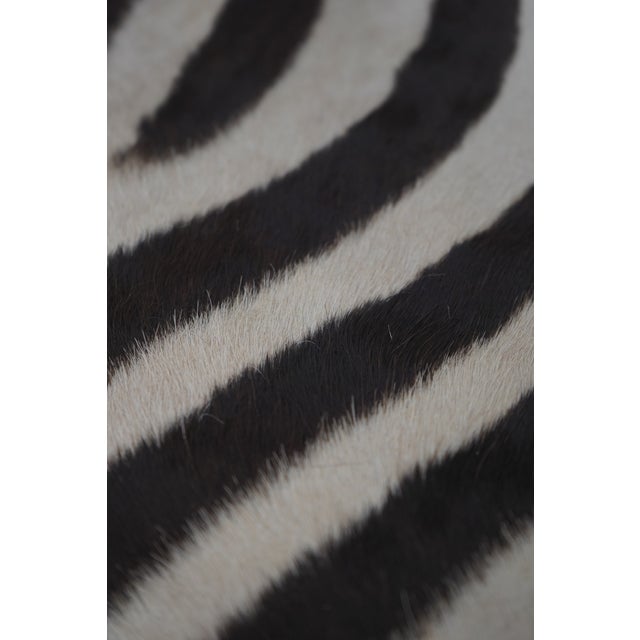 2000 - 2009 Pair Modern Design Zebra Print Hide Ottoman or Stools For Sale - Image 5 of 11