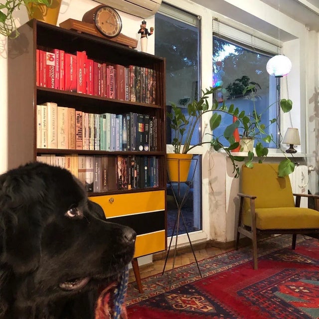 Glass Showcase with Bar, Poland, 1970s For Sale - Image 4 of 7